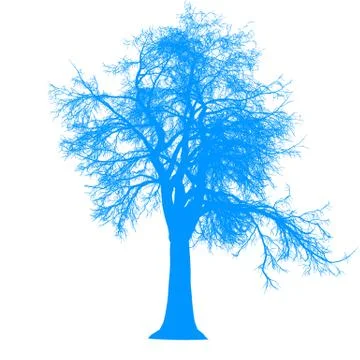 Tree leafless side view silhouette isolated - blue - vector Stock Illustration