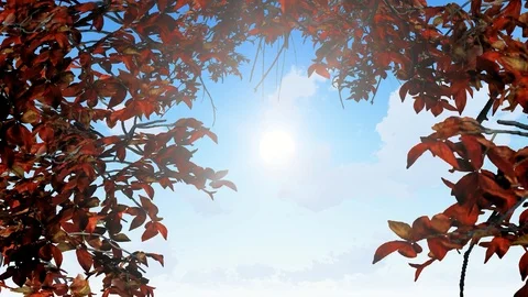 Tree leafs At Sunlight Background 3D Rendering Stock Footage 120392297