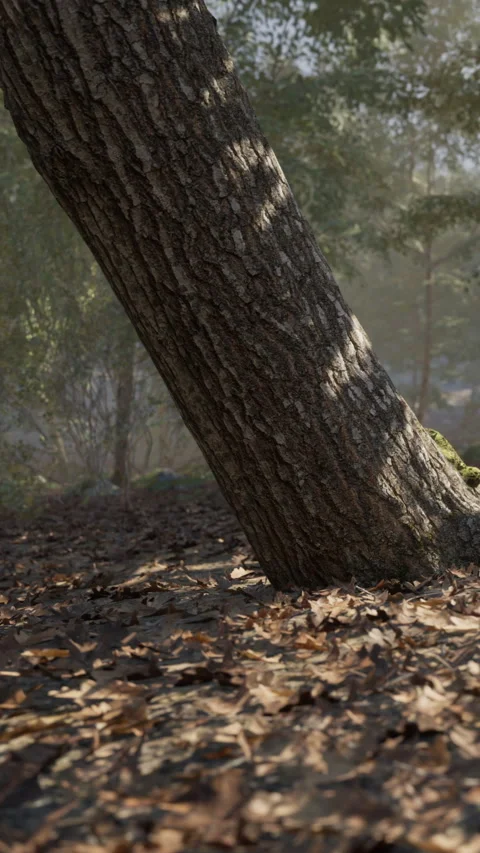 Tree leans over fallen leaves in a wooded area during the day Stock Footage 339044274
