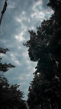 Tree leaves and clouds in the sky in Brussels Belgium Europe Stock Photos