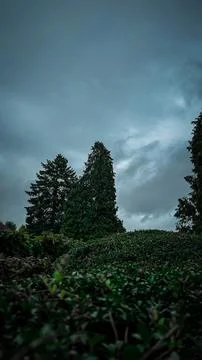 Tree leaves and clouds in the sky in Dinant Belgium Europe Stock Photos