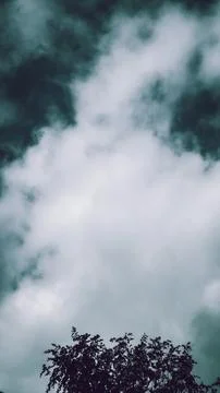 Tree leaves and clouds in the sky in Dinant Belgium Europe Stock Photos