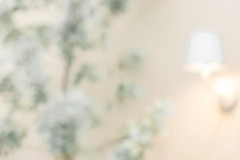 A tree with leaves is in the background of a room Stock Photos