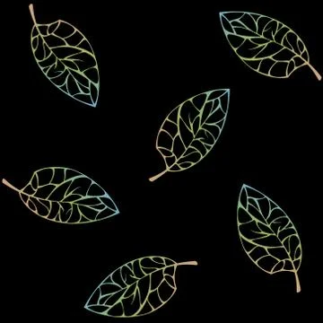 Tree Leaves on a Black Background イラスト素材