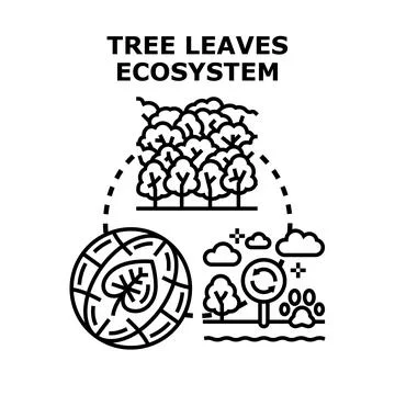 Tree leaves ecosystem concept illustrating biological cycle Stock Illustration