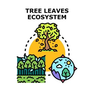 Tree leaves ecosystem cycle environmental protection concept Stock Illustration