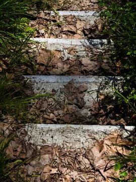 Tree leaves fallen on the steps of a staircase Nevers Nievre departement France Stock Photos