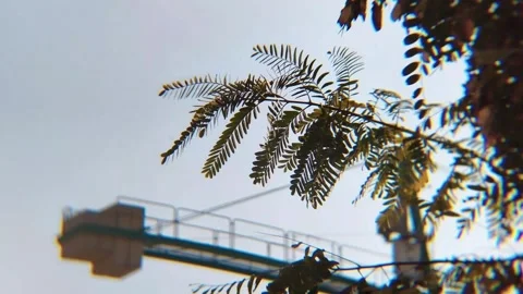 Tree Leaves in Focus with Blurred Construction Crane Timelapse Video stock 331375697