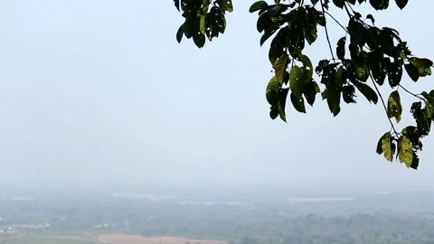Tree Leaves Framing Misty Valley Landscape Stock Footage 328825432