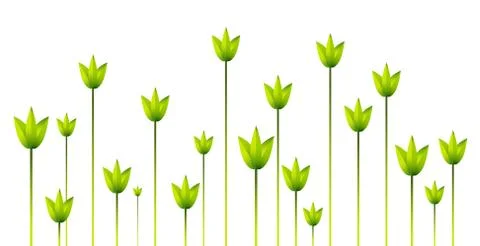 Tree leaves Stock Illustration