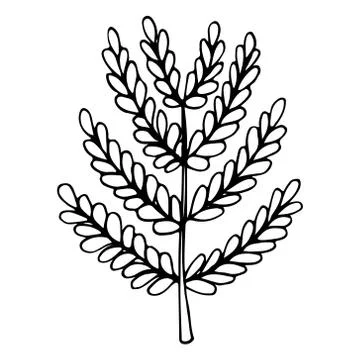 Tree With Leaves Stock Illustration