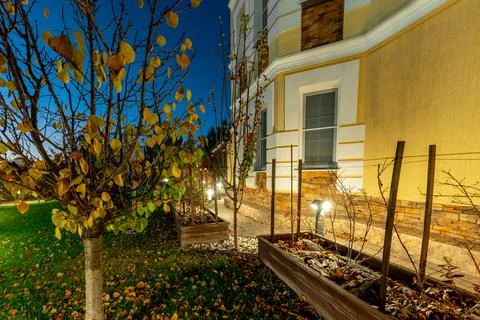 A tree with leaves on it is in front of a building Stock Photos