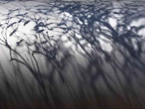 Tree leaves light and shadows abstract Stock Photos