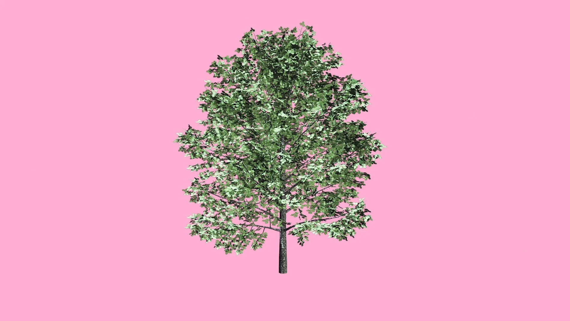 animated trees moving