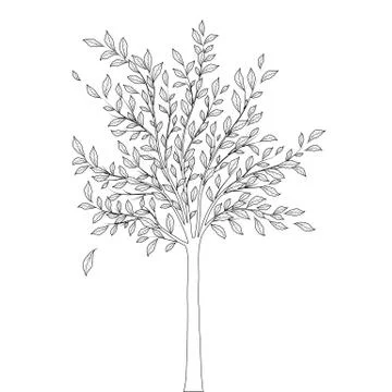 Tree with leaves outline on white background vector Stock Illustration
