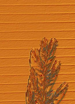 Tree leaves over a notebook page Stock Illustration