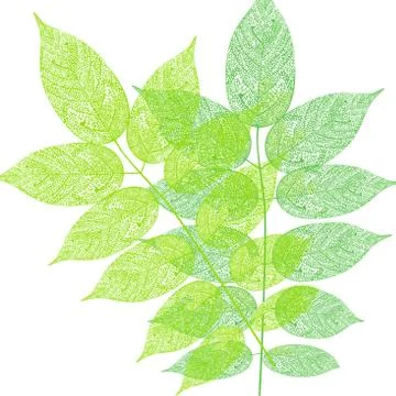 Tree leaves pattern illustration Stock Illustration