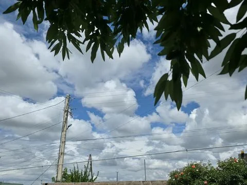 Tree Leaves Power Lines Blue Sky Clouds Stock Photos
