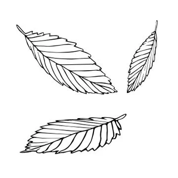 Tree leaves set black line isolated Stock Illustration