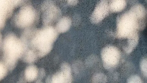 Tree leaves shadow moving on a concrete wall, abstract nature background Stock Footage 345492081