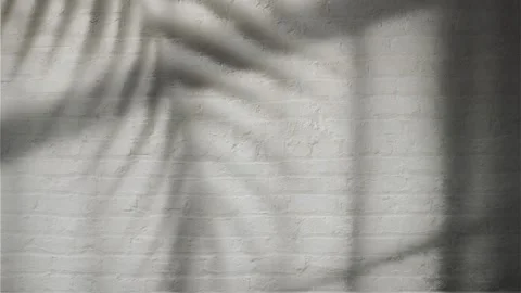 Tree Leaves Shadow Swaying on Grey Brick Wall Textured, Cafe Aesthetic Stock Footage 298320497