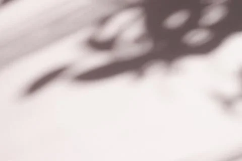 Tree leaves shadow on wall background, Abstract Background Cement Wall Shadow Stock Photos