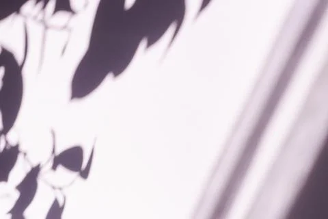 Tree leaves shadow on wall background, Abstract Background Cement Wall Shadow Stock Photos