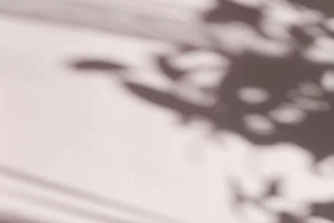 Tree leaves shadow on wall background, Abstract Background Cement Wall Shadow Stock Photos