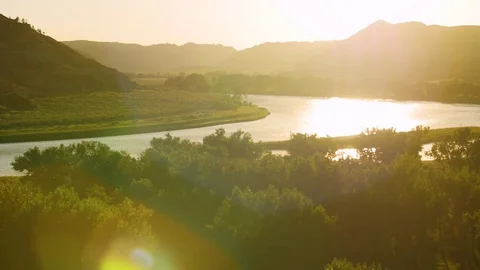 Tree leaves shimmer in setting sun by river Stock Footage 83692480