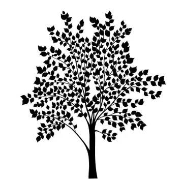 Tree with leaves silhouette Stock Illustration