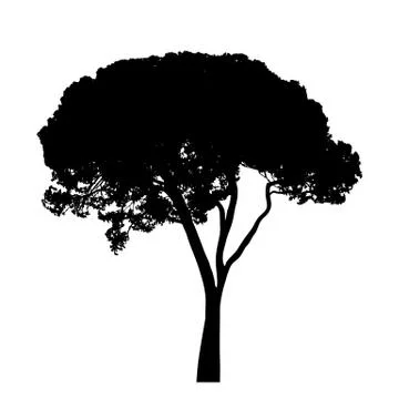 Tree with leaves silhouette isolate on white background vector Stock Illustration
