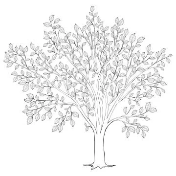 Tree with leaves silhouette vector. Coloring book page for adult. Illustrazione stock