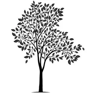 Tree with leaves silhouette vector Illustrazione stock