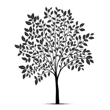 Tree with leaves silhouette vector Stock Illustration