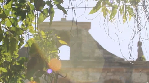 Tree Leaves Swaying in Slow Motion on a Sunny Day, Old Building in background Stock Footage 185093524