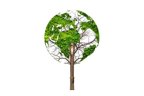 A tree with leaves of the world map, concept, environment, save the world Stock Photos