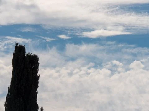 Tree at left bottom side in the cloudy sky scene background Stock Photos