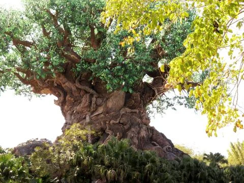 The Tree of Life in the Animal Kingdom Park, Disney World, Florida Stock Photos