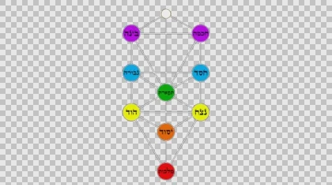The Tree of Life with Hebrew Text in Alpha Channel Stock Footage 63404310