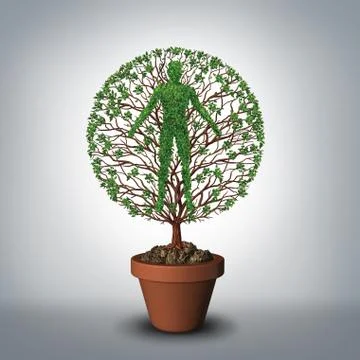 Tree Of Life Stock Illustration