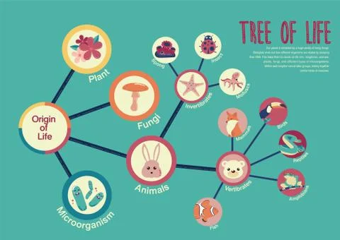 Tree of life Stock Illustration