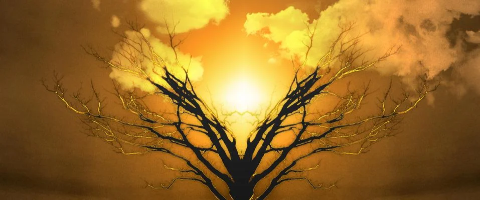 Tree of Life Stock Illustration