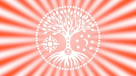 Tree of life on mandala background. Stock Footage 104630546