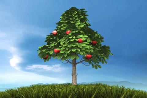 Tree of life NTSC Stock Footage 687189