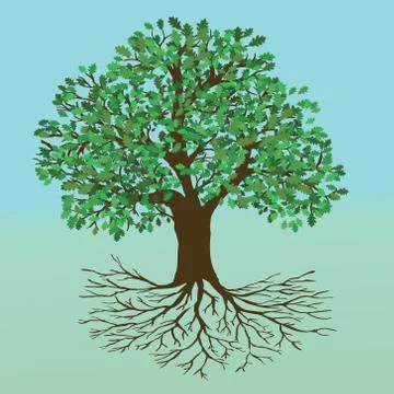Tree of life oak version イラスト素材