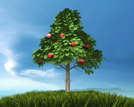 Tree of life PAL Stock Footage 687920