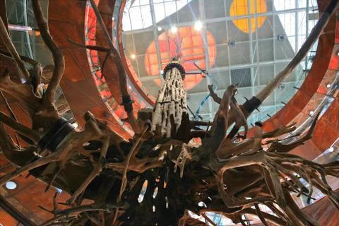 Tree of life Stock Photos