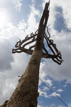 Tree of life Foto stock