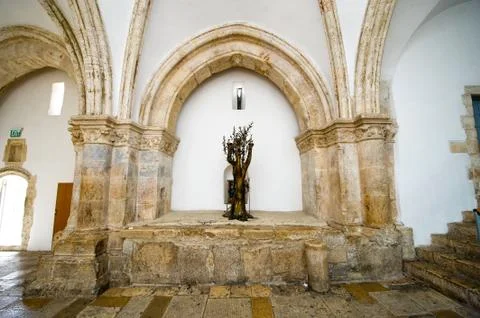 The tree of life Stock Photos