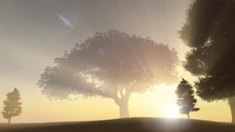 The Tree Of Life Foto stock